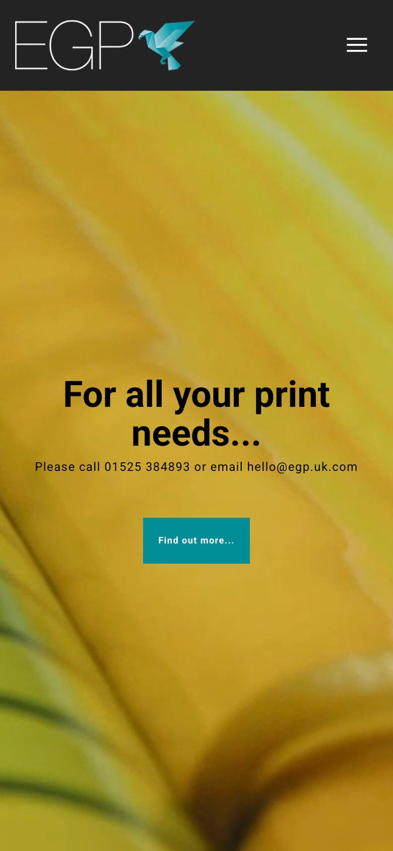 EGP printing services promotional banner